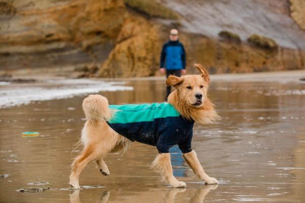 Ruffwear Undercoat Water Jacket Aurora Teal Gr XL Ruffwear Undercoat Water Jacket Aurora Teal Gr XL